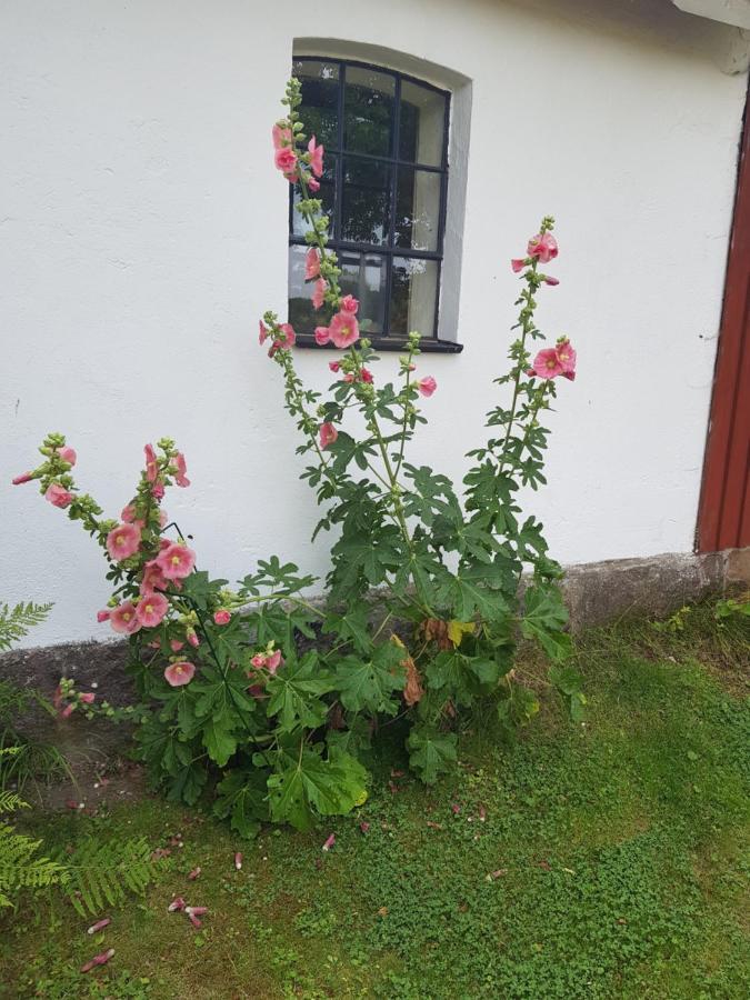 4B Österlen Bed&Breakfast Tomelilla Dış mekan fotoğraf